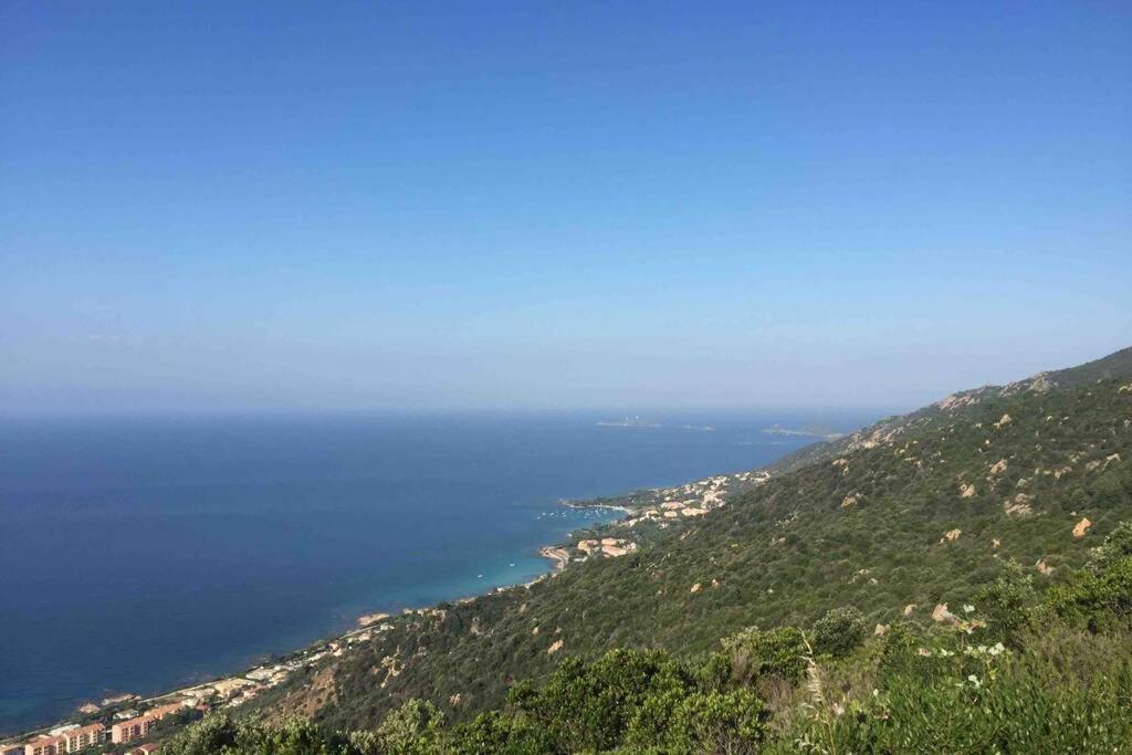 Ajaccio Magnifique T2 Neuf 40M2 Avec Balcon Au Trottel 4 Couchages Wifi Clim Parking Plage A Pieds 100M 외부 사진