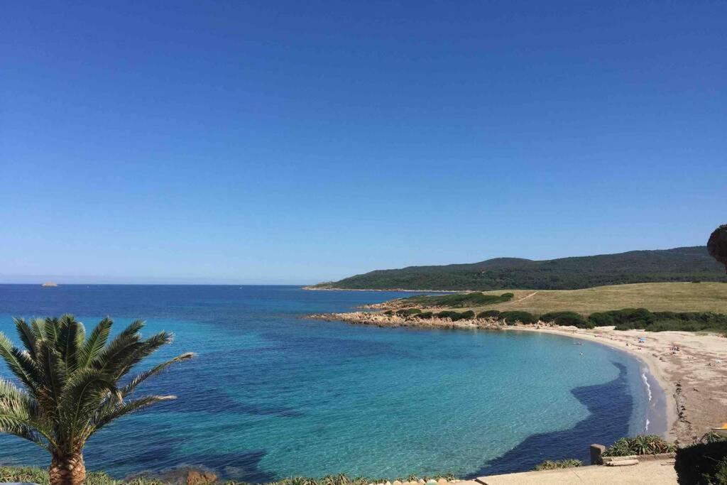 Ajaccio Magnifique T2 Neuf 40M2 Avec Balcon Au Trottel 4 Couchages Wifi Clim Parking Plage A Pieds 100M 외부 사진