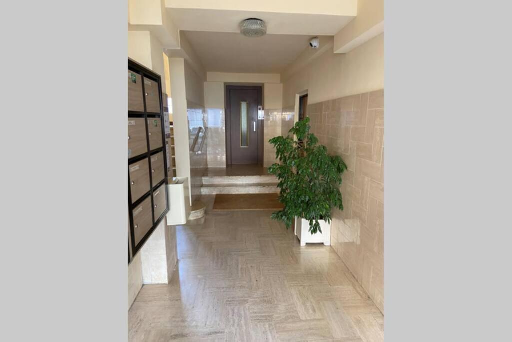 Ajaccio Magnifique T2 Neuf 40M2 Avec Balcon Au Trottel 4 Couchages Wifi Clim Parking Plage A Pieds 100M 외부 사진