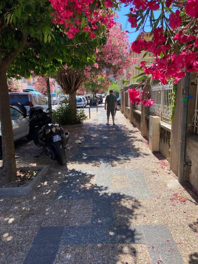 Ajaccio Magnifique T2 Neuf 40M2 Avec Balcon Au Trottel 4 Couchages Wifi Clim Parking Plage A Pieds 100M 외부 사진