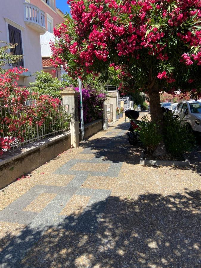 Ajaccio Magnifique T2 Neuf 40M2 Avec Balcon Au Trottel 4 Couchages Wifi Clim Parking Plage A Pieds 100M 외부 사진