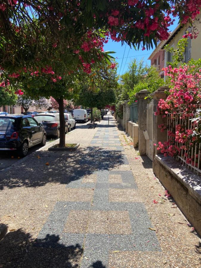 Ajaccio Magnifique T2 Neuf 40M2 Avec Balcon Au Trottel 4 Couchages Wifi Clim Parking Plage A Pieds 100M 외부 사진